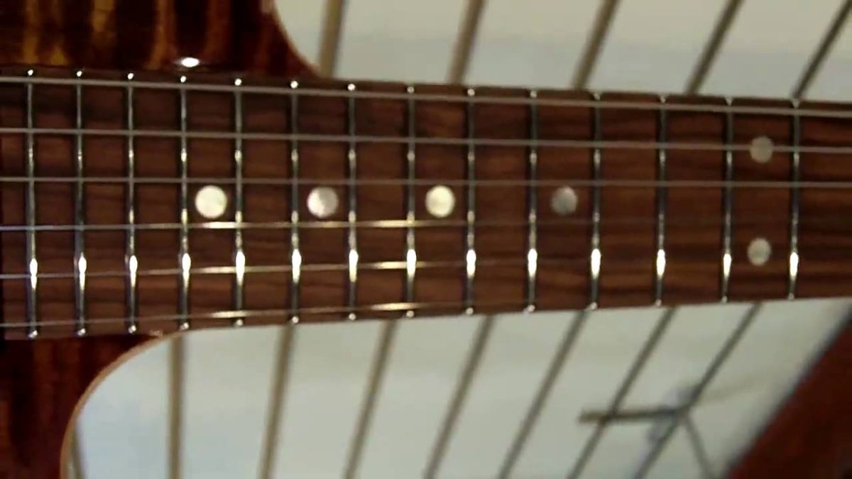 Guitar Fretboard: Maple vs Rosewood