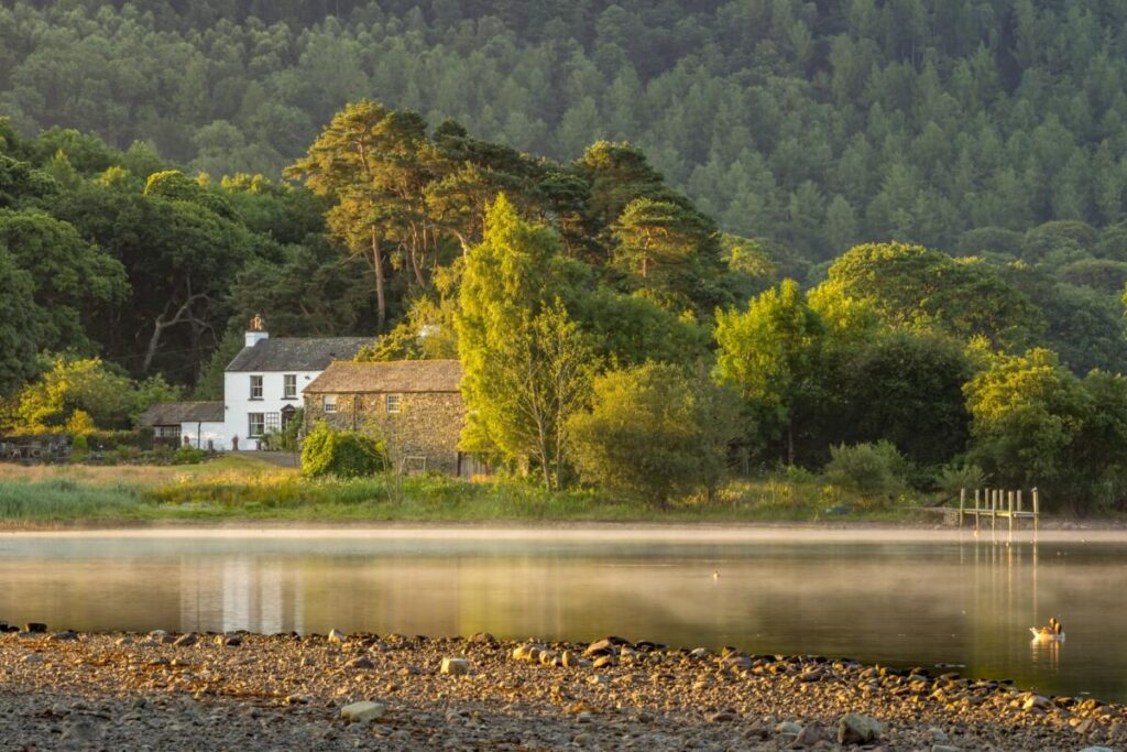 Photo by Martin Stroud: https://www.pexels.com/photo/wood-dawn-landscape-water-11117237/